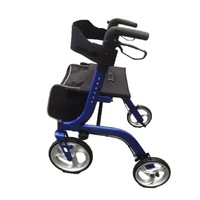 Seat Walker Blue Large Wheels